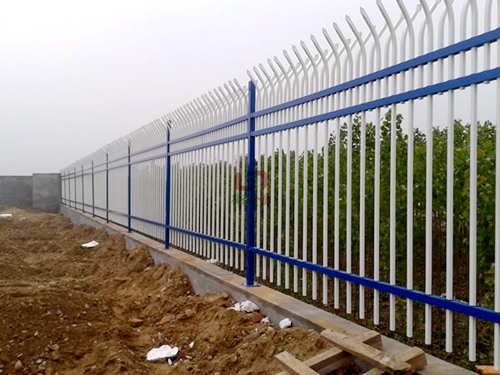 �����������o�ڃr��